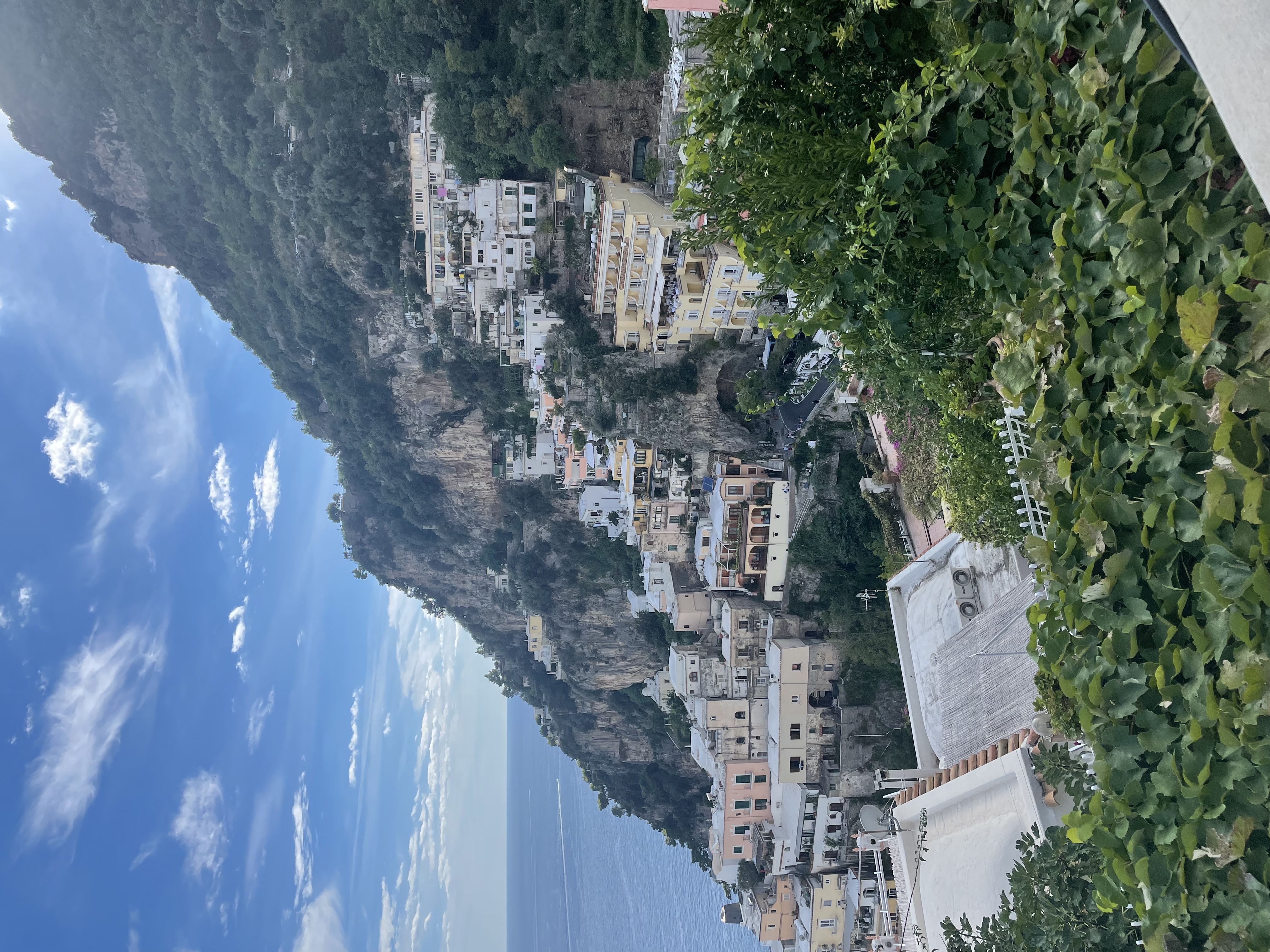 View From the House 2